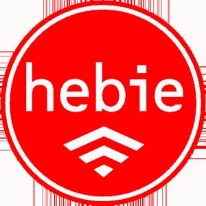 Hebie 695 Lenkungsdämpfer jetzt kaufen
